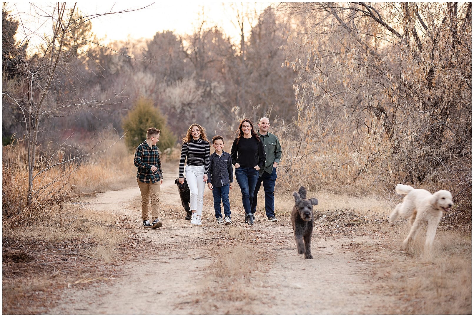 Family walking through park with their three dogs for family photos. Photos by Tiffany Hix Photography.