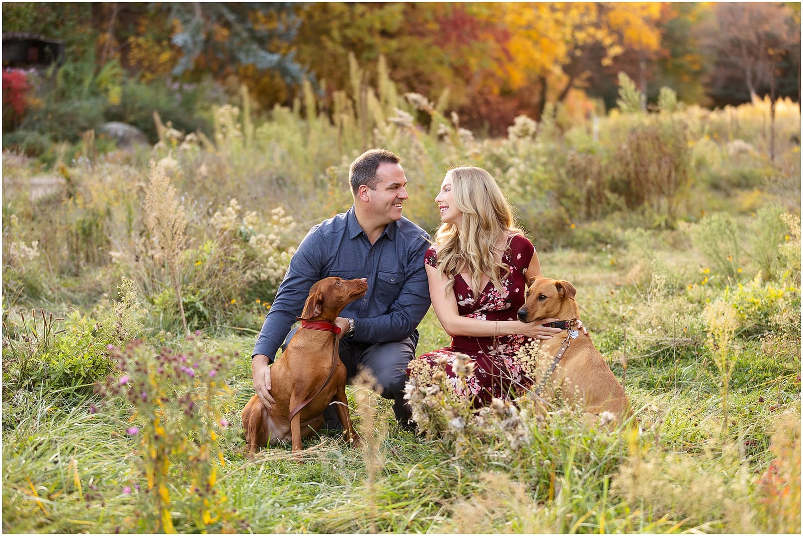 Couple and their two dogs during Boise maternity session. Photo by Tiffany Hix Photography.