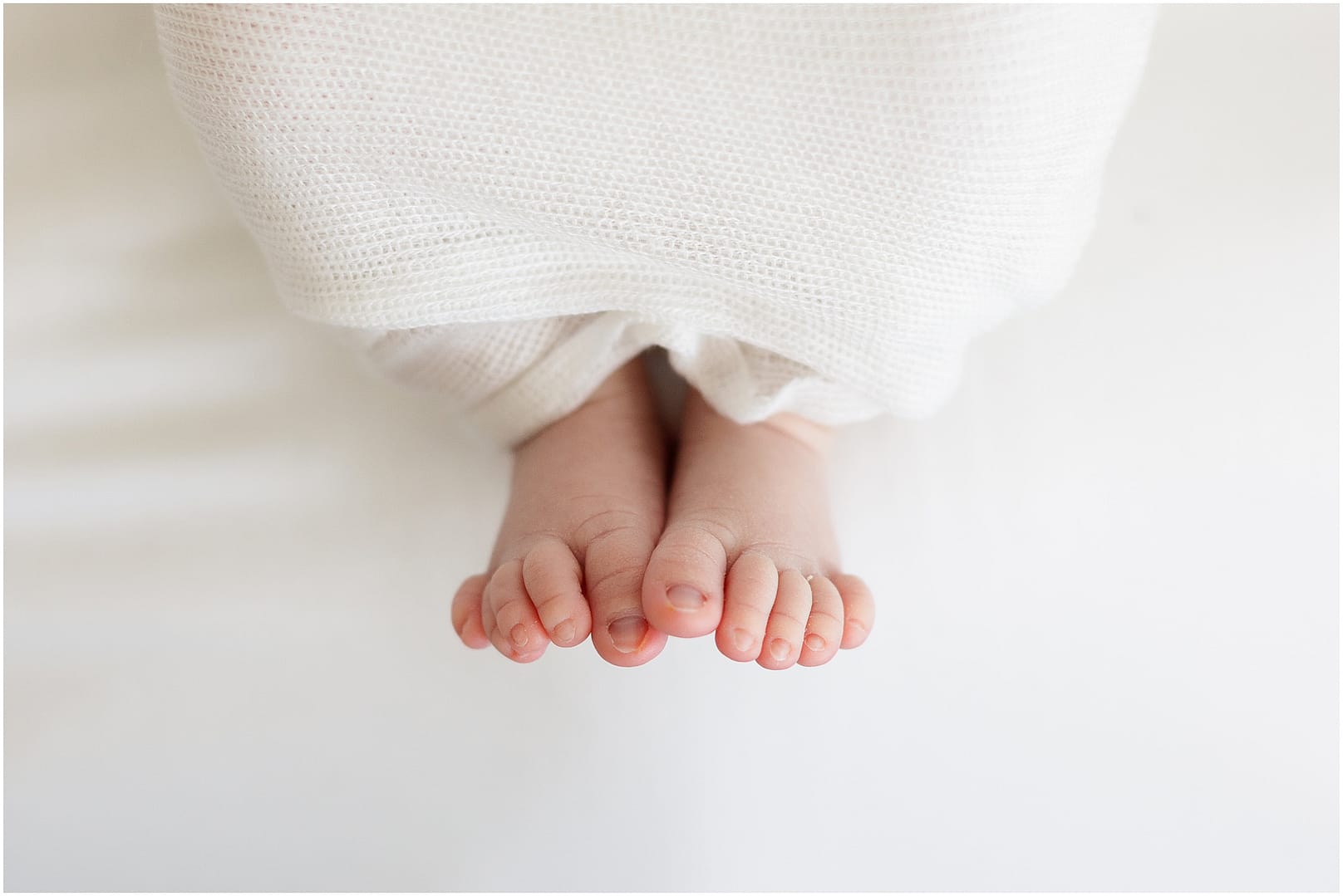 Sweet baby toes in a close up. Photo by Tiffany Hix Photography.