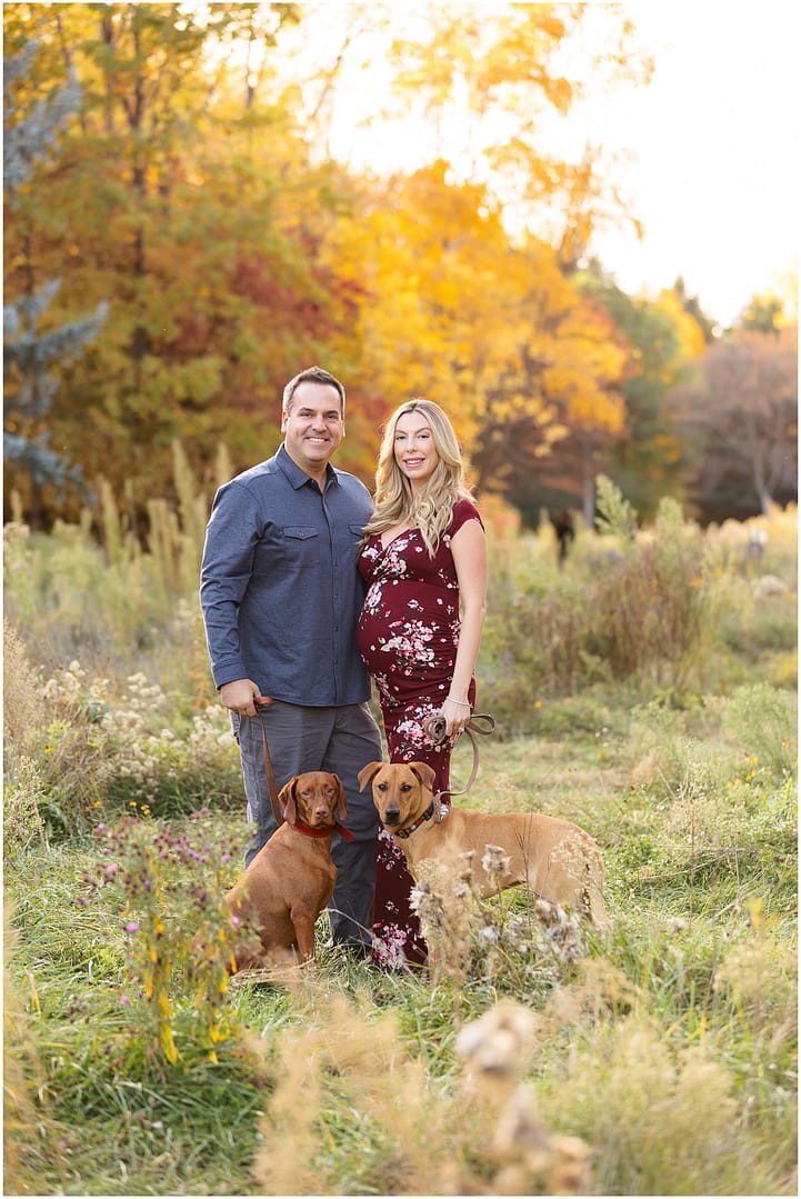 Portrait of expectant parents and their two dogs. Photo by Tiffany Hix Photography.