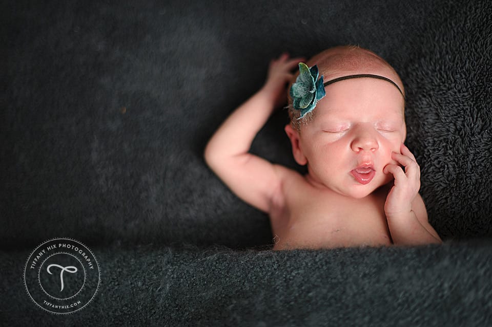 Boise Newborn Photographer