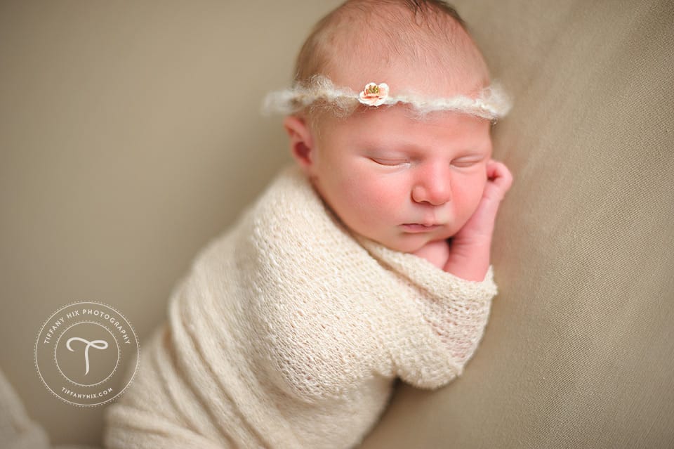 boise newborn photography, boise newborn photographer